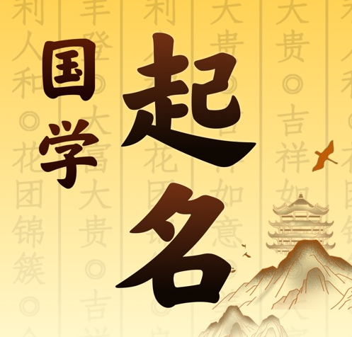 仁寿国学起名 人工起名一对一